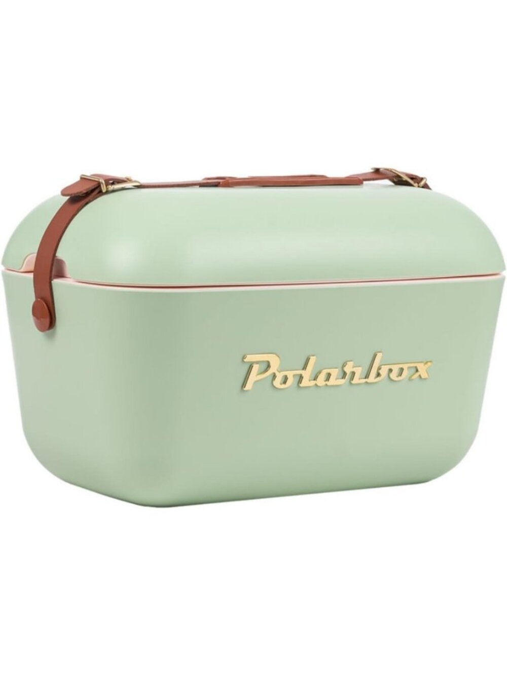 Vintage Retro Beach Cooler Bag | Portable Picnic Lunch Box for Travel & Hiking